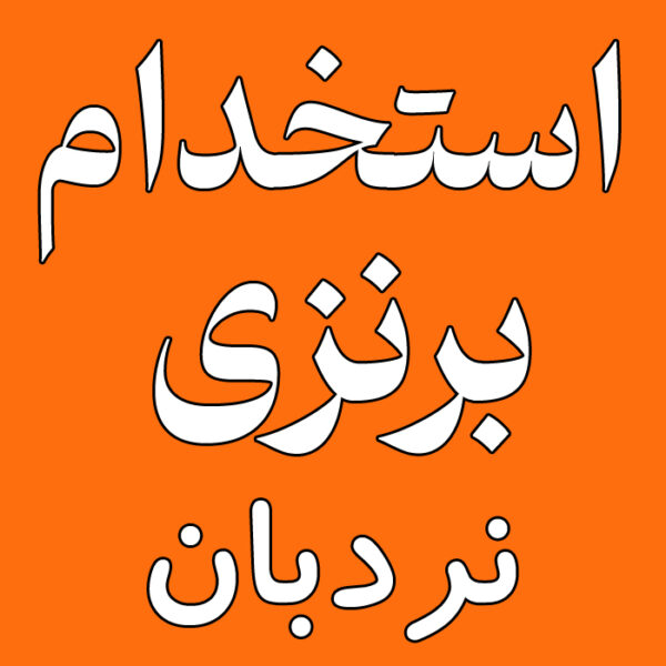 استخدام برنزی : نردبان