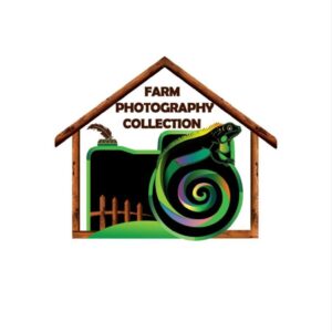 IMG_20250207_001507_270